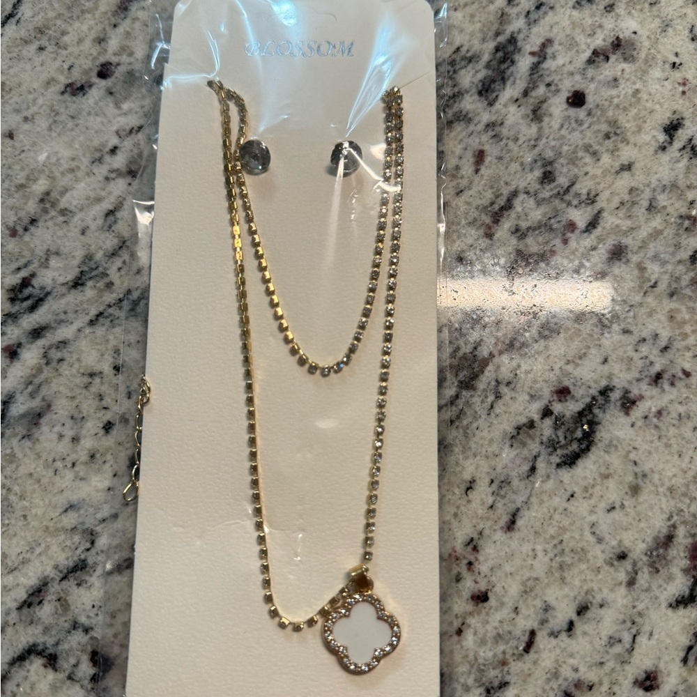 Gold and Silver Necklace Set